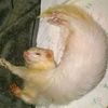 twinkiek21